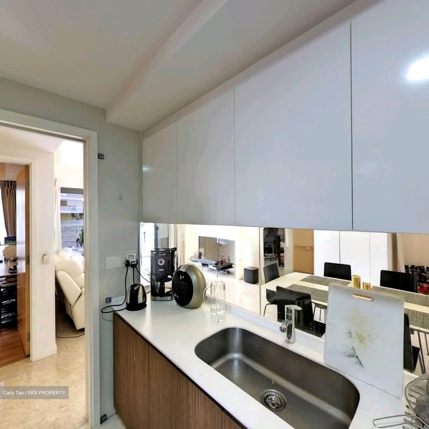 The Lakefront Residences (D22), Condominium #559693151